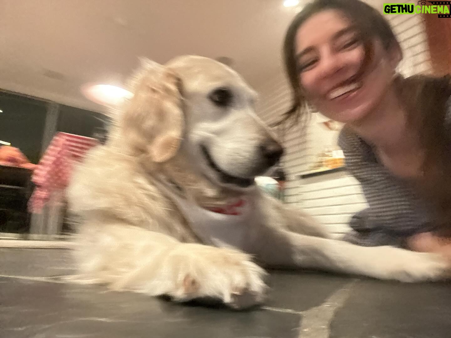 Amy Nelson - 112.2K Likes - 10 YEARS OF CHICA 🥂 here’s to the matriarch of this town of dog friends and the the earth angel born to be henry’s big sister
she is a glowing ball of pure pressurized love and we love love love her so