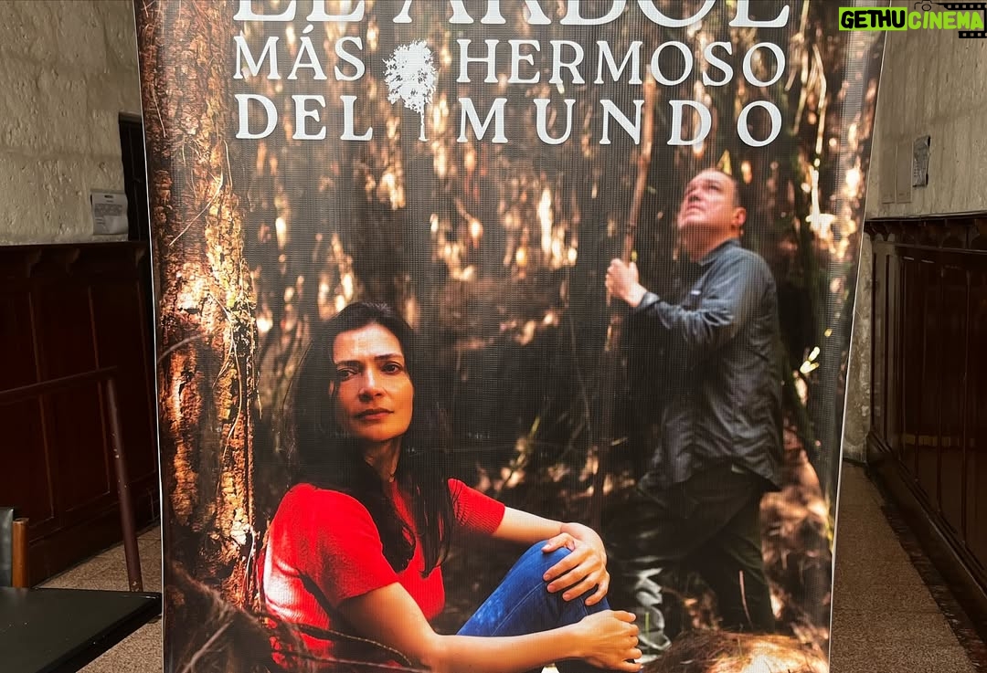 Ana Maria Orozco - 20.8K Likes - Días inolvidables en la bella Arequipa🇵🇪 Con mi @saldelsol ♥️
@elarbolmashermosodelmundo