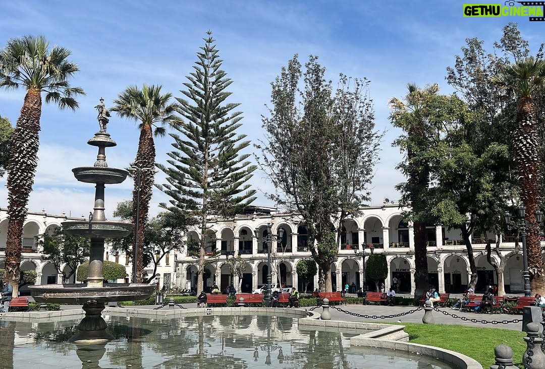 Ana Maria Orozco - 20.8K Likes - Días inolvidables en la bella Arequipa🇵🇪 Con mi @saldelsol ♥️
@elarbolmashermosodelmundo