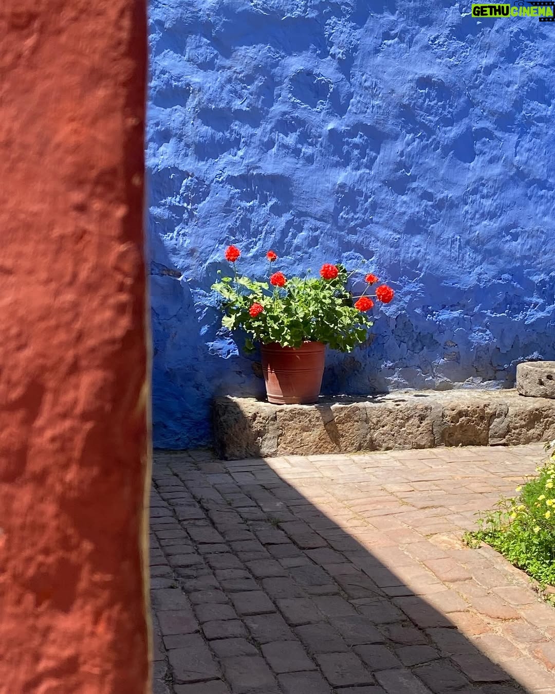 Ana Maria Orozco - 25.9K Likes - Visita al impresionante Monasterio de Santa Catalina, en Arequipa, con @anaorozcoof ❤️
Inolvidable.