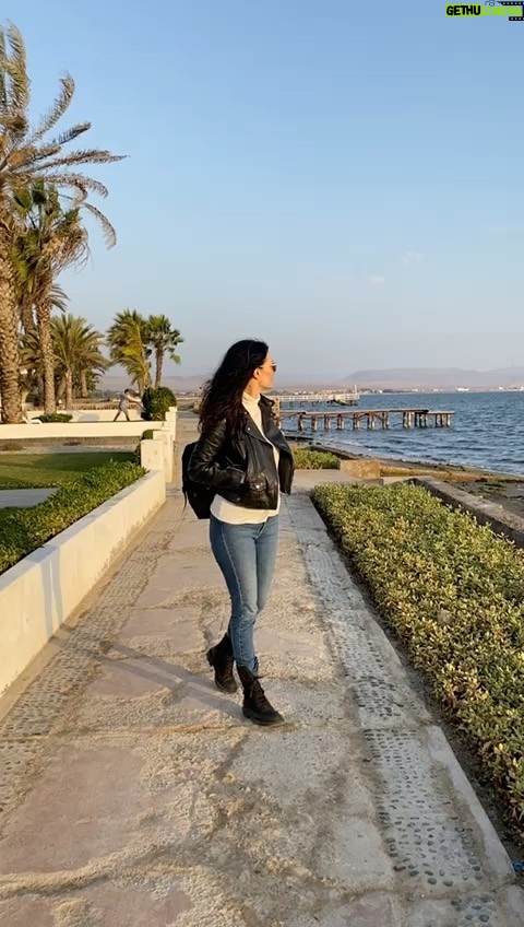 Ana Maria Orozco - 58.4K Likes - Paracas. Perú🤍