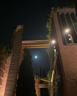 Ana Mena Instagram - Mis prox meses consisten en terminar una peli y preparar un bodorrio 💒🥹✨🤍
