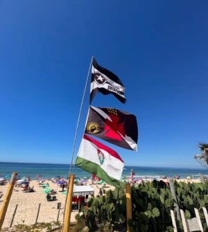 Ana Paula Minerato Instagram - 1º de Março 
aniversário do Rio de Janeiro 460 anos☀️🌴

Segunda capital do Brasil 
nossa eterna Brasília(1763-1960) 🇧🇷

E que data mais que especial pra celebrar esse aniversário, com nosso carnaval tão lindo e especial e INTERNACIONAL, patrimônio nacional ❤️