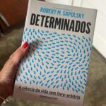 Ana Rita Clara