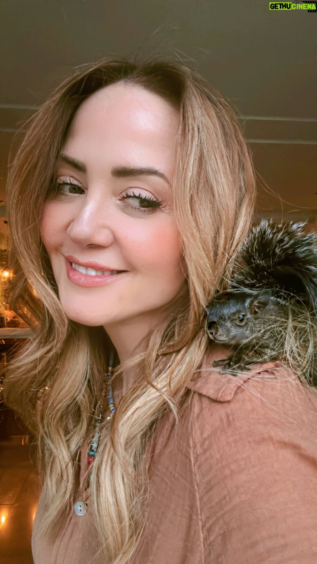 Andrea Legarreta - 85.7K Likes - Mis hijas dicen que soy como “Blanca Nieves” porque AMO a los animalitos y en casa siempre pongo cacahuates, almendras, semillas, alpiste, agua y frutas para que todo tipo de animales que pasan por aquí puedan alimentarse… Hace 10 días, mis chicas que trabajan en casa me dijeron que salieron y encontraron a la ardillita bebé asustada porque corría de un lado a otro atemorizada de los coches que casi la atropellan… Al acercarse, la bebé se subió por el pantalón de una de ellas y decidieron traerla a casa para ayudarla sabiendo que yo FELIZ buscaría la manera de protegerla. Mientras tanto mis hijas le pusieron William Dafoe porque es un macho y aman a este actor jajaja El veterinario me dijo que por ser pequeño y algo inexperto en el exterior sería presa fácil de animales grandes y corría peligro por tantas calles llenas de coches alrededor. Entonces me aconsejó darle asilo unas semanas y ayudarlo a fortalecer sus patitas subiéndolo en plantas y demás… Yo lo dejo subir por las cortinas, plantas y todo lo que pueda escalar. Le doy plantas y ramas y semillas y agua para que vaya aprendiendo a alimentarse de todo… Y cuando esté listo lo llevaremos a un lugar seguro sin tantas calles, coches, ni casas con alambres de púas… Al parecer sí suelen reintegrarse a la libertad de estar en un campo o parque, que es donde deben estar… Deséenos suerte para que todo vaya bien con William… Y ya les iré diciendo cómo va hasta el día que regrese a la libertad… 🐿️🤎🤎🤎🤎