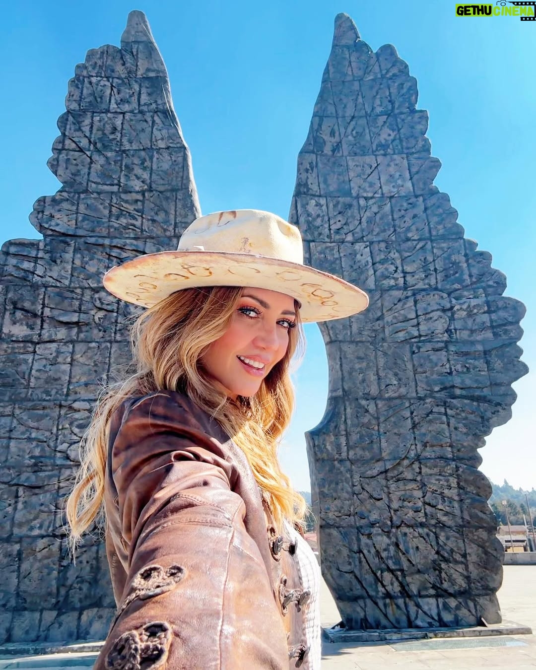 Andrea Legarreta - 53.2K Likes - Que nada ni nadie te corte las alas… Nunca, nunca, NUNCA!! Hay mucho cielo para volar y muchos sueños que alcanzar… 🪽🪽 💫✨