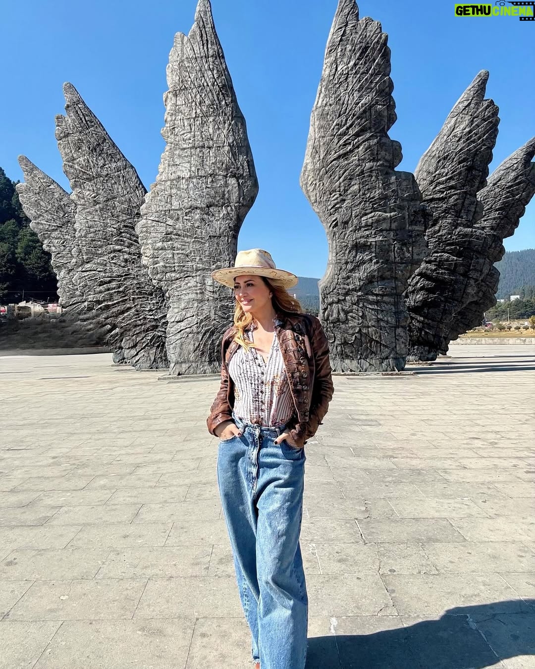 Andrea Legarreta - 53.2K Likes - Que nada ni nadie te corte las alas… Nunca, nunca, NUNCA!! Hay mucho cielo para volar y muchos sueños que alcanzar… 🪽🪽 💫✨