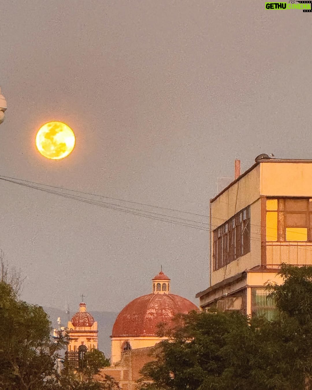 Andrea Legarreta - 70.5K Likes - Enamorada estoy de ti… Oaxaca de mis amores… Eres magia pura… ❣️ 

Oaxaca sabe mejor con mi ojitos de cielo… @juan.legarreta ❣️ Y el mejor guía, nuestro amigo adorado @oaxacking  GRACIAS Omar adorado!! Eres lo máximo!! Te queremos!! ❣️❣️❣️🙌🏻🙌🏻🙌🏻
