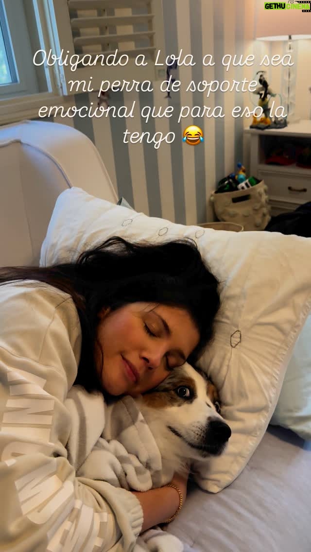 Andrea Nocetti - 1.9K Likes - Así me toca xq la Lola aveces se pone quisquillosa y esquiva y yo soy intensa con los abrazos de oxitocina… X mi la tendría todo el día encima 😍😍😍 #lola #miniaussie #funny #funnyvideos #dog #dogvideo #funnydog #dogsofinstagram @fionaandlolastory