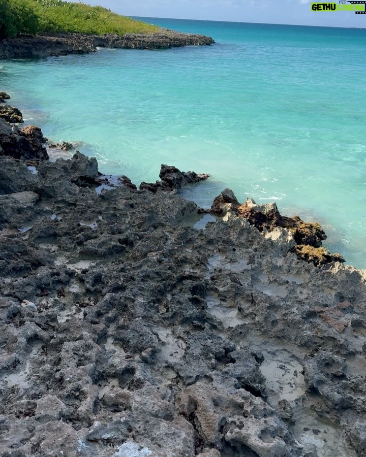 Andrea Nocetti - 1.4K Likes - Paraiso… #anguilla #anguillabeaches #caribbean #paradise #paradiseisland #paradisebeach 🏖️