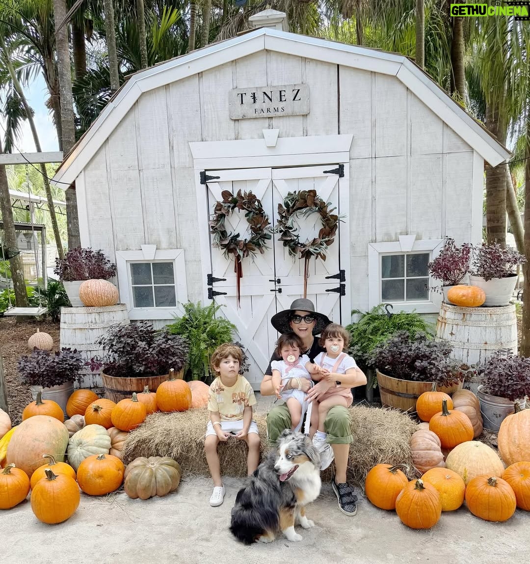 Andrea Nocetti - 1.2K Likes - Un día en la granja con mis muñecos… No hay nada como compartir con animales y respirar aire puro… y lo mejor es que la Lola nos pudo acompañar 🐶🐮🐷🦆🐤 #farm #animals #fun #family #myboys #lucianminski #minskitwins #momofboys