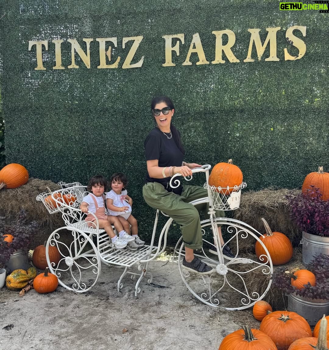 Andrea Nocetti - 1.2K Likes - Un día en la granja con mis muñecos… No hay nada como compartir con animales y respirar aire puro… y lo mejor es que la Lola nos pudo acompañar 🐶🐮🐷🦆🐤 #farm #animals #fun #family #myboys #lucianminski #minskitwins #momofboys
