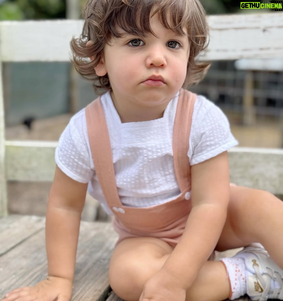 Andrea Nocetti - 1.2K Likes - Un día en la granja con mis muñecos… No hay nada como compartir con animales y respirar aire puro… y lo mejor es que la Lola nos pudo acompañar 🐶🐮🐷🦆🐤 #farm #animals #fun #family #myboys #lucianminski #minskitwins #momofboys
