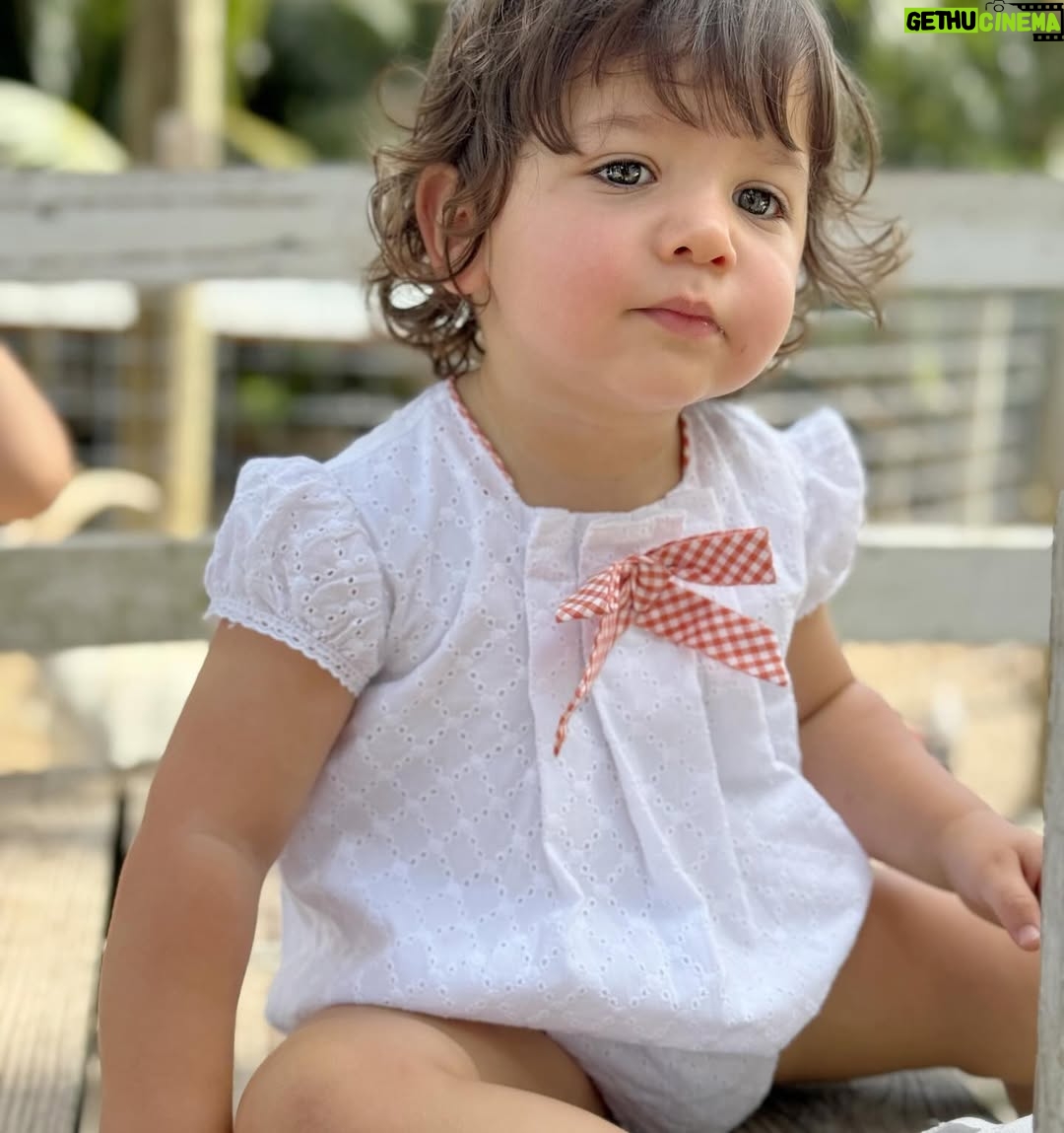 Andrea Nocetti - 1.2K Likes - Un día en la granja con mis muñecos… No hay nada como compartir con animales y respirar aire puro… y lo mejor es que la Lola nos pudo acompañar 🐶🐮🐷🦆🐤 #farm #animals #fun #family #myboys #lucianminski #minskitwins #momofboys