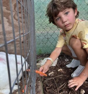Andrea Nocetti Instagram - Un día en la granja con mis muñecos… No hay nada como compartir con animales y respirar aire puro… y lo mejor es que la Lola nos pudo acompañar 🐶🐮🐷🦆🐤 #farm #animals #fun #family #myboys #lucianminski #minskitwins #momofboys