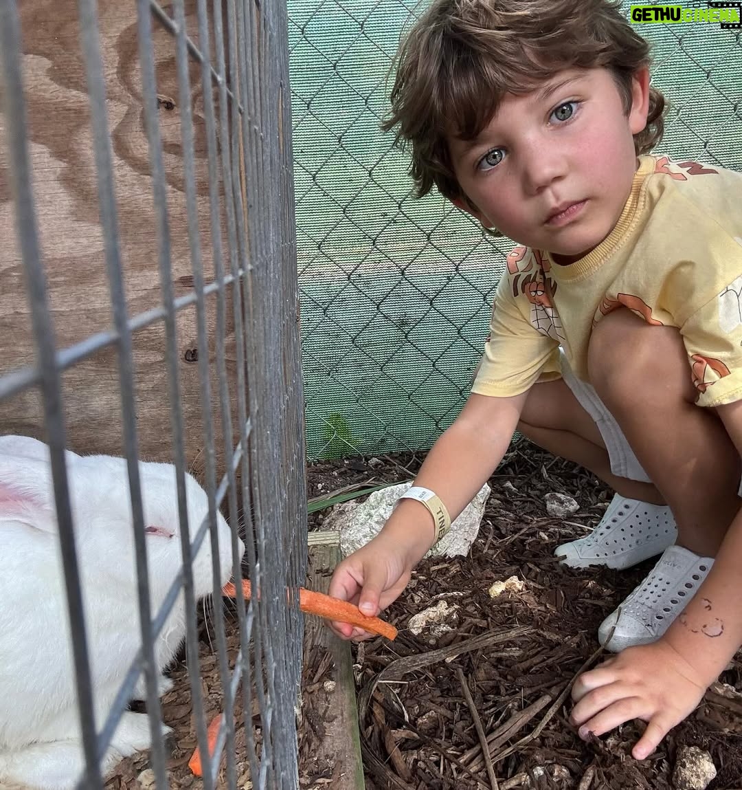 Andrea Nocetti - 1.2K Likes - Un día en la granja con mis muñecos… No hay nada como compartir con animales y respirar aire puro… y lo mejor es que la Lola nos pudo acompañar 🐶🐮🐷🦆🐤 #farm #animals #fun #family #myboys #lucianminski #minskitwins #momofboys