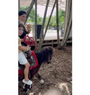 Andrea Nocetti Instagram - Un día en la granja con mis muñecos… No hay nada como compartir con animales y respirar aire puro… y lo mejor es que la Lola nos pudo acompañar 🐶🐮🐷🦆🐤 #farm #animals #fun #family #myboys #lucianminski #minskitwins #momofboys
