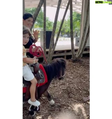 Andrea Nocetti - 1.2K Likes - Un día en la granja con mis muñecos… No hay nada como compartir con animales y respirar aire puro… y lo mejor es que la Lola nos pudo acompañar 🐶🐮🐷🦆🐤 #farm #animals #fun #family #myboys #lucianminski #minskitwins #momofboys