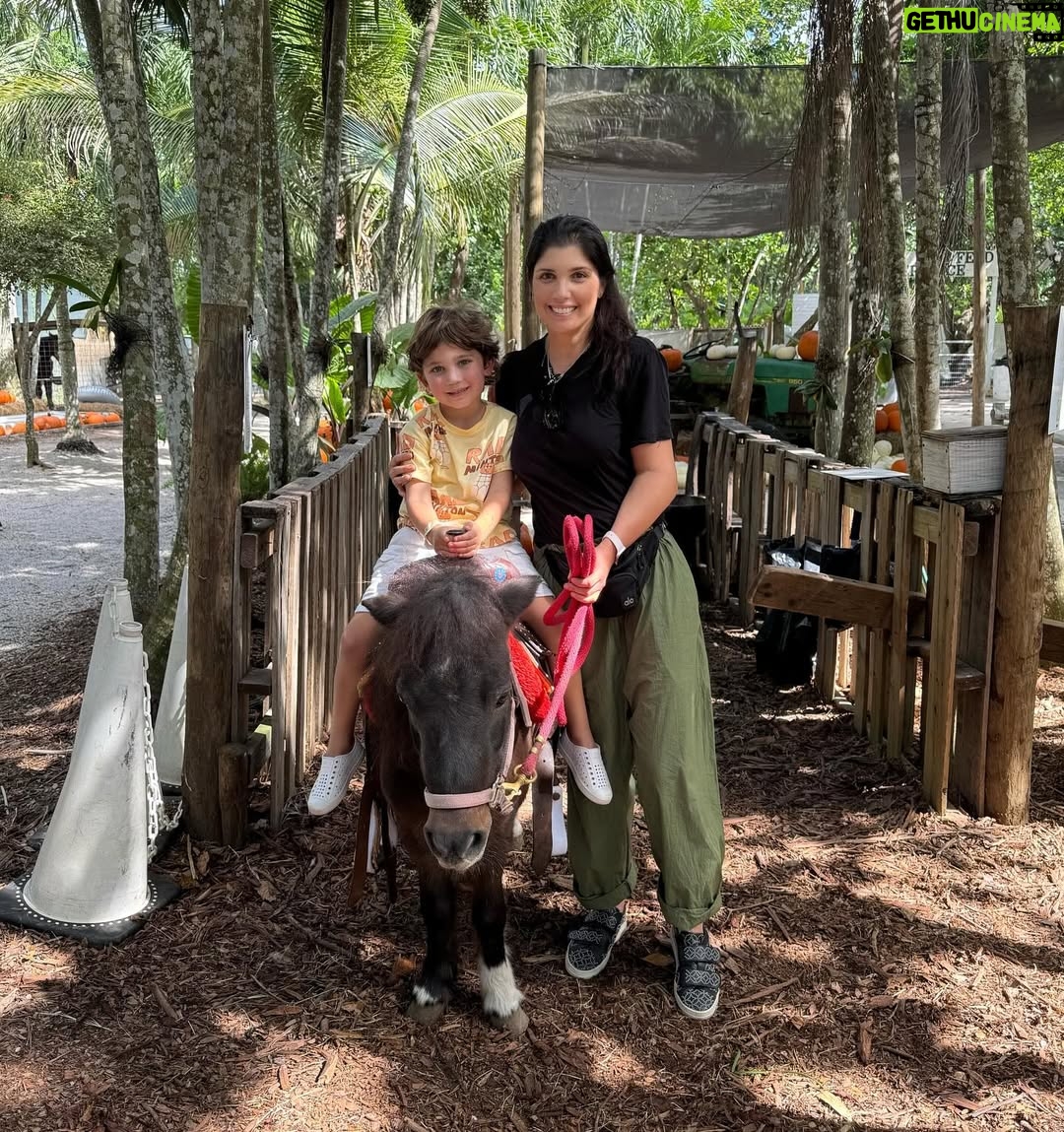 Andrea Nocetti - 1.2K Likes - Un día en la granja con mis muñecos… No hay nada como compartir con animales y respirar aire puro… y lo mejor es que la Lola nos pudo acompañar 🐶🐮🐷🦆🐤 #farm #animals #fun #family #myboys #lucianminski #minskitwins #momofboys