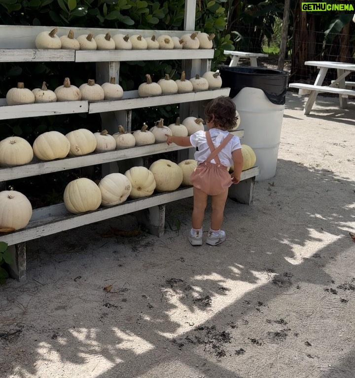 Andrea Nocetti - 1.2K Likes - Un día en la granja con mis muñecos… No hay nada como compartir con animales y respirar aire puro… y lo mejor es que la Lola nos pudo acompañar 🐶🐮🐷🦆🐤 #farm #animals #fun #family #myboys #lucianminski #minskitwins #momofboys