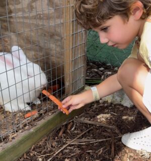 Andrea Nocetti Instagram - Un día en la granja con mis muñecos… No hay nada como compartir con animales y respirar aire puro… y lo mejor es que la Lola nos pudo acompañar 🐶🐮🐷🦆🐤 #farm #animals #fun #family #myboys #lucianminski #minskitwins #momofboys