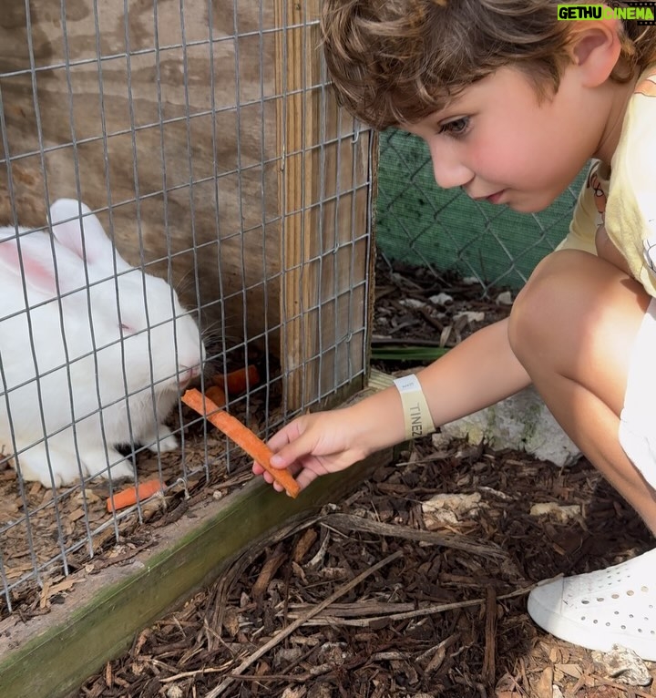 Andrea Nocetti - 1.2K Likes - Un día en la granja con mis muñecos… No hay nada como compartir con animales y respirar aire puro… y lo mejor es que la Lola nos pudo acompañar 🐶🐮🐷🦆🐤 #farm #animals #fun #family #myboys #lucianminski #minskitwins #momofboys