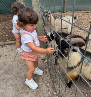 Andrea Nocetti Instagram - Un día en la granja con mis muñecos… No hay nada como compartir con animales y respirar aire puro… y lo mejor es que la Lola nos pudo acompañar 🐶🐮🐷🦆🐤 #farm #animals #fun #family #myboys #lucianminski #minskitwins #momofboys