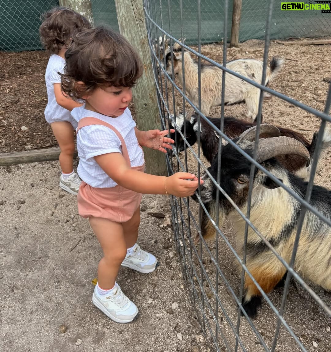 Andrea Nocetti - 1.2K Likes - Un día en la granja con mis muñecos… No hay nada como compartir con animales y respirar aire puro… y lo mejor es que la Lola nos pudo acompañar 🐶🐮🐷🦆🐤 #farm #animals #fun #family #myboys #lucianminski #minskitwins #momofboys