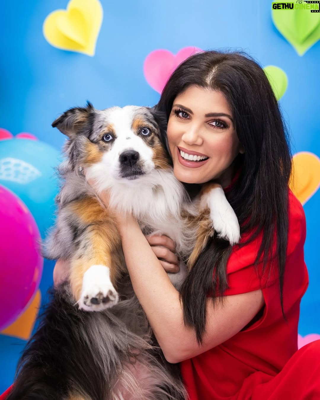 Andrea Nocetti - 2.2K Likes - Happy valentine’s ❤️ #love #happyvalentinesday #happyvalentine #family #pet #dog #sons #mom #brothers #twins #momofboys #boysmama #lucianminski #minskitwins #myboys @lucianminski @minskitwins @fionaandlolastory #felizdiadesanvalentin #sanvalentin @habiaunavezunafoto_ @habiaunavezunvideo