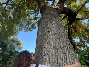 Angie Cepeda Instagram - Nature is my guru 🍃
La naturaleza es mi gurú 🌿