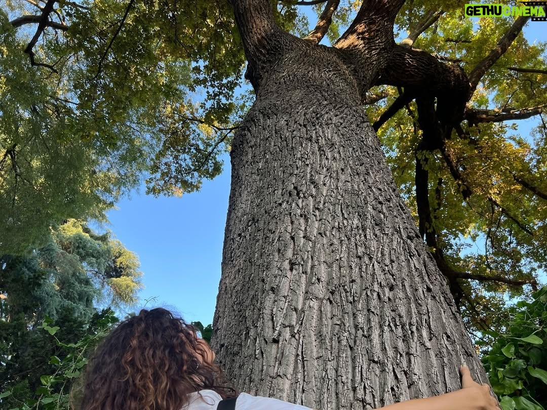 Angie Cepeda - 3 Likes - Nature is my guru 🍃
La naturaleza es mi gurú 🌿