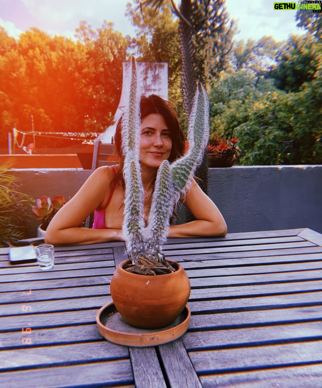 Angie Cepeda - 3 Likes - Mi parte favorita de la vida es estar con mis personas favoritas de la vida.
My favorite part of life is being with my favorite people in life.