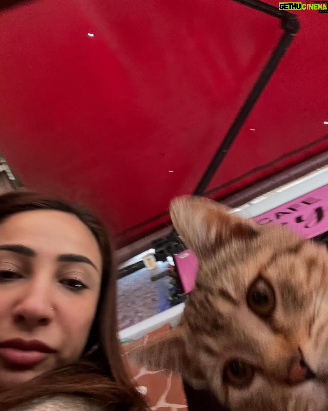 Anoushey Ashraf - 3.4K Likes - A lil bit of Feb/March and April ♥️
#instamood
1. Always ruining my TikTok’s but I secretly love it.
2. Goat’s milk soaps are my new thanggg 🧼
3. Yummy in my tummy!
4. Hey Mr Dj!
5. Breathe, relax and be grateful 🧘♀️
6. Selfie
7. Ambani Khatoon 💰 💰
8. Ammarriiiii
9. Golden Girls
10. Iftars and suhoors
11. Eid with mum and Dad 😍
12. Birds of a Feather 🪶
13. Always on wait
14. English springer spaniel cow 🐄
15. What is this boy?
16. Roger!! 🐶
17. Eid Mubarak 🌙
18. Roger again
19. Family ♥️
20. Friends like family!
