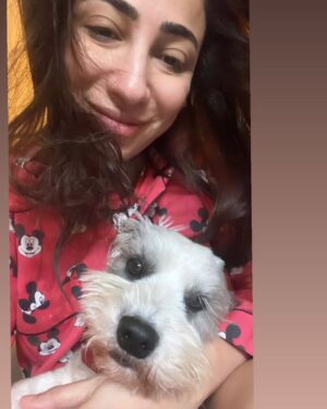 Anoushey Ashraf Instagram - A lil bit of Feb/March and April ♥️
#instamood 

1. Always ruining my TikTok’s but I secretly love it. 
2. Goat’s milk soaps are my new thanggg 🧼 
3. Yummy in my tummy! 
4. Hey Mr Dj! 
5. Breathe, relax and be grateful 🧘‍♀️ 
6. Selfie 
7. Ambani Khatoon 💰 💰 
8. Ammarriiiii 
9. Golden Girls 
10. Iftars and suhoors 
11. Eid with mum and Dad 😍
12. Birds of a Feather 🪶 
13. Always on wait 
14.  English springer spaniel cow 🐄 
15. What is this boy? 
16. Roger!! 🐶 
17. Eid Mubarak 🌙 
18. Roger again 
19. Family ♥️ 
20. Friends like family!