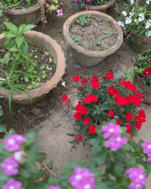 Antara Mitra Instagram - Good Morning! 
From home ! 
#Geetabitan
