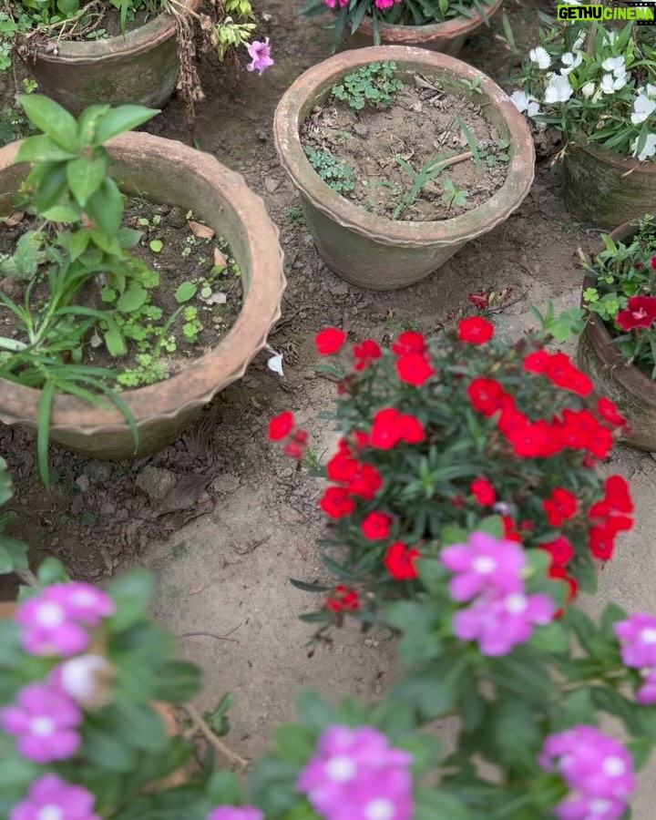 Antara Mitra - 8K Likes - Good Morning!
From home !
#Geetabitan