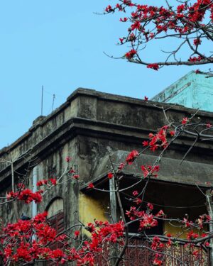 Antara Naina Roy Majumder Instagram - 🥀যখন জমবে ধুলা তানপুরাটার তারগুলায়,কাঁটালতা উঠবে ঘরের দ্বারগুলায়..🍂