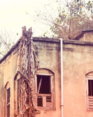 Antara Naina Roy Majumder Instagram - 🥀যখন জমবে ধুলা তানপুরাটার তারগুলায়,কাঁটালতা উঠবে ঘরের দ্বারগুলায়..🍂