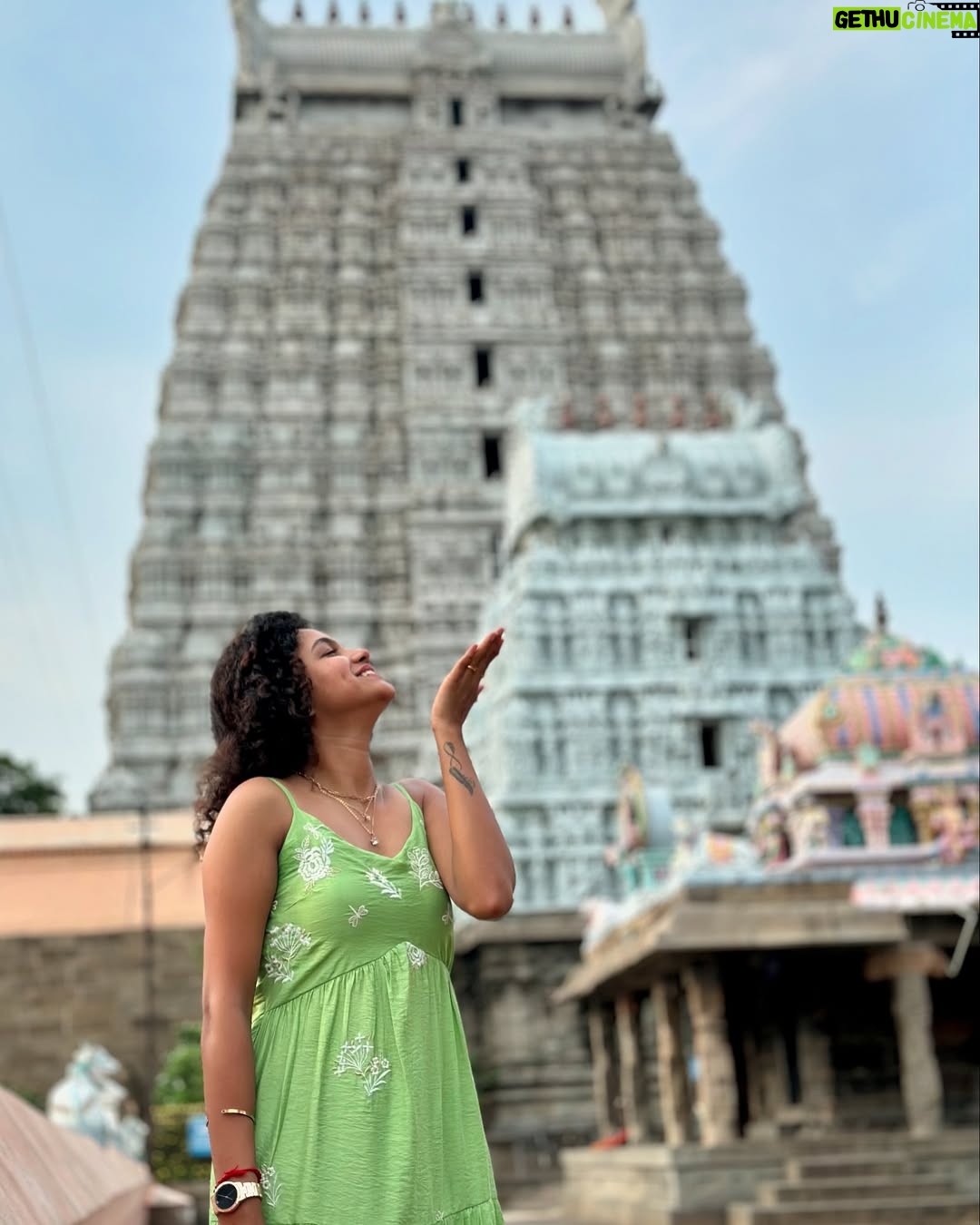 Archana Kumar - 38.7K Likes - என்றும் அவன் பிள்ளை🔱🫶🏼✨
.
.
.
#IPL #NeeSingamDhan #CSK #MSD #Cricket #Perks