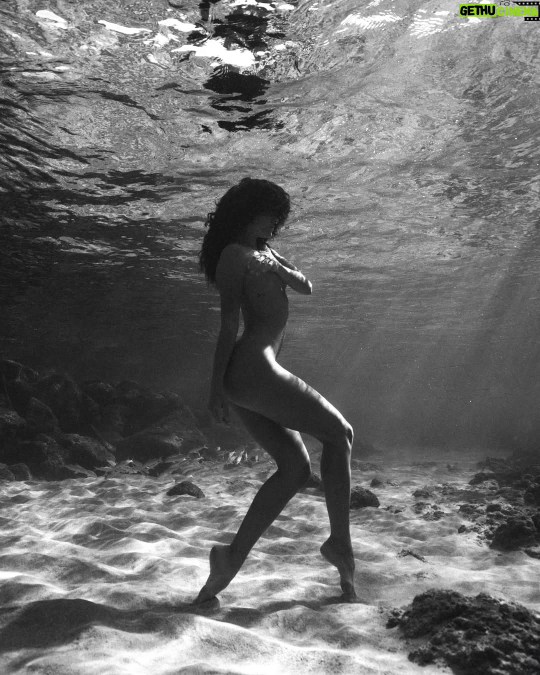Ariadna Hafez Navarro - 8.1K Likes - Where gravity fades, my soul flies free 🤍🌊
.
.
Fotos tomadas una tarde en Hawaii, improvisando con @megbatphoto 📸💫