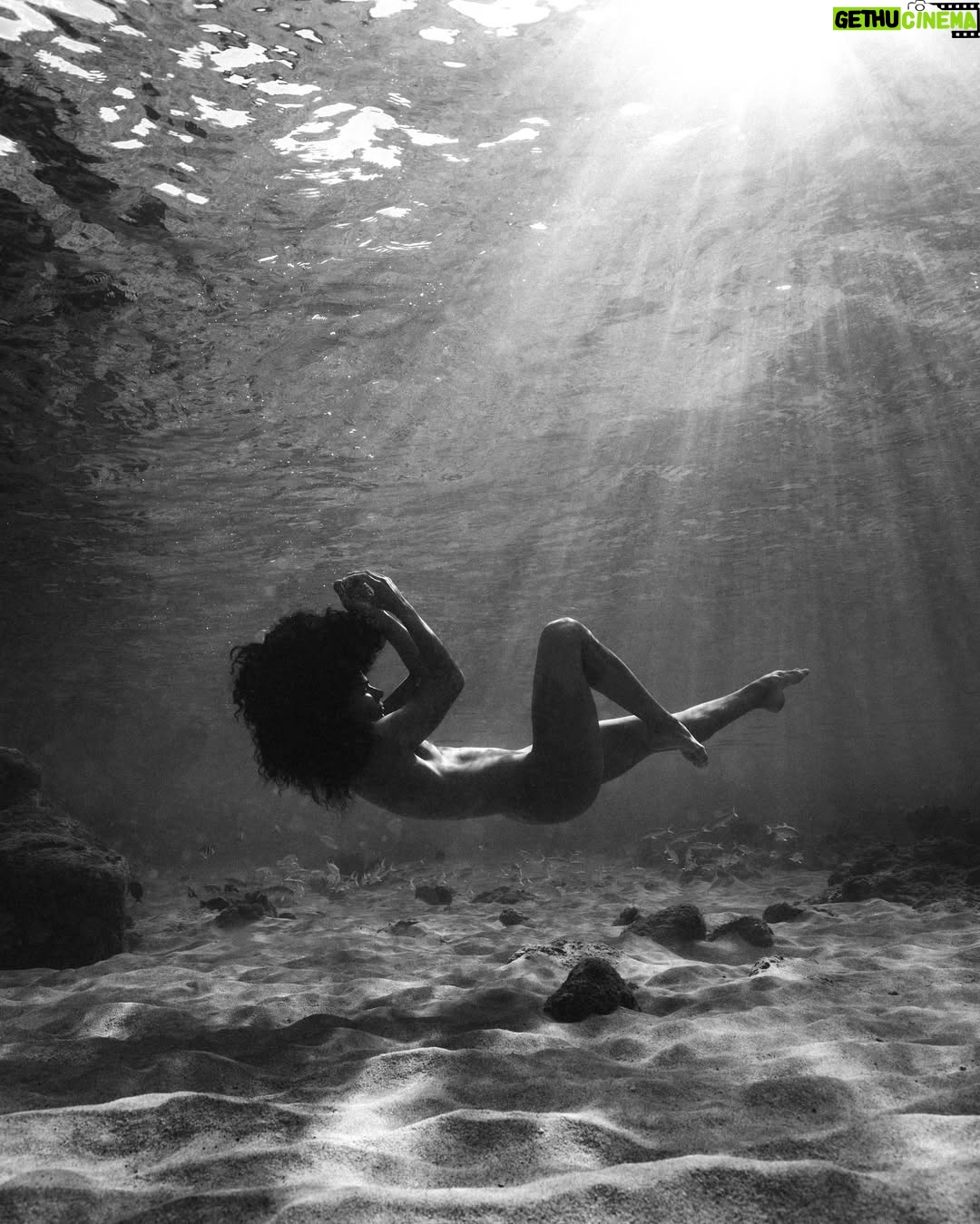 Ariadna Hafez Navarro - 8.1K Likes - Where gravity fades, my soul flies free 🤍🌊
.
.
Fotos tomadas una tarde en Hawaii, improvisando con @megbatphoto 📸💫