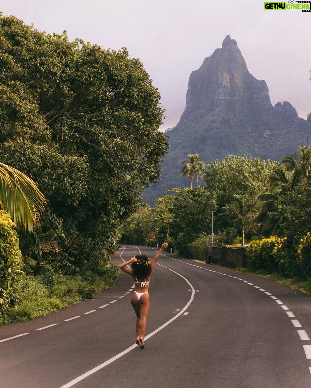 Ariadna Hafez Navarro - 8.4K Likes - Viajar, sentirme libre y dueña de mi vida 🦋🌏
Polinesia Francesa, no se explicarlo, pero se siente hogar 🌺
.
.
📷 by @megbatphoto The Queen 🤍