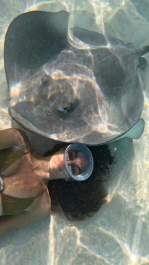 Ariadna Hafez Navarro Instagram - La primera vez que me enamore de ellas fue aquí, en La Polinesia Francesa, y desde entonces son mi animal favorito ☺️ Son amor, a parte de preciosas, y siempre me han parecido seres de otro planeta. 🤍🪐
~ Exploring the ocean with @mooreamoanatours , what a week 🤟🏼 ~
.
.
👙 @island.swim