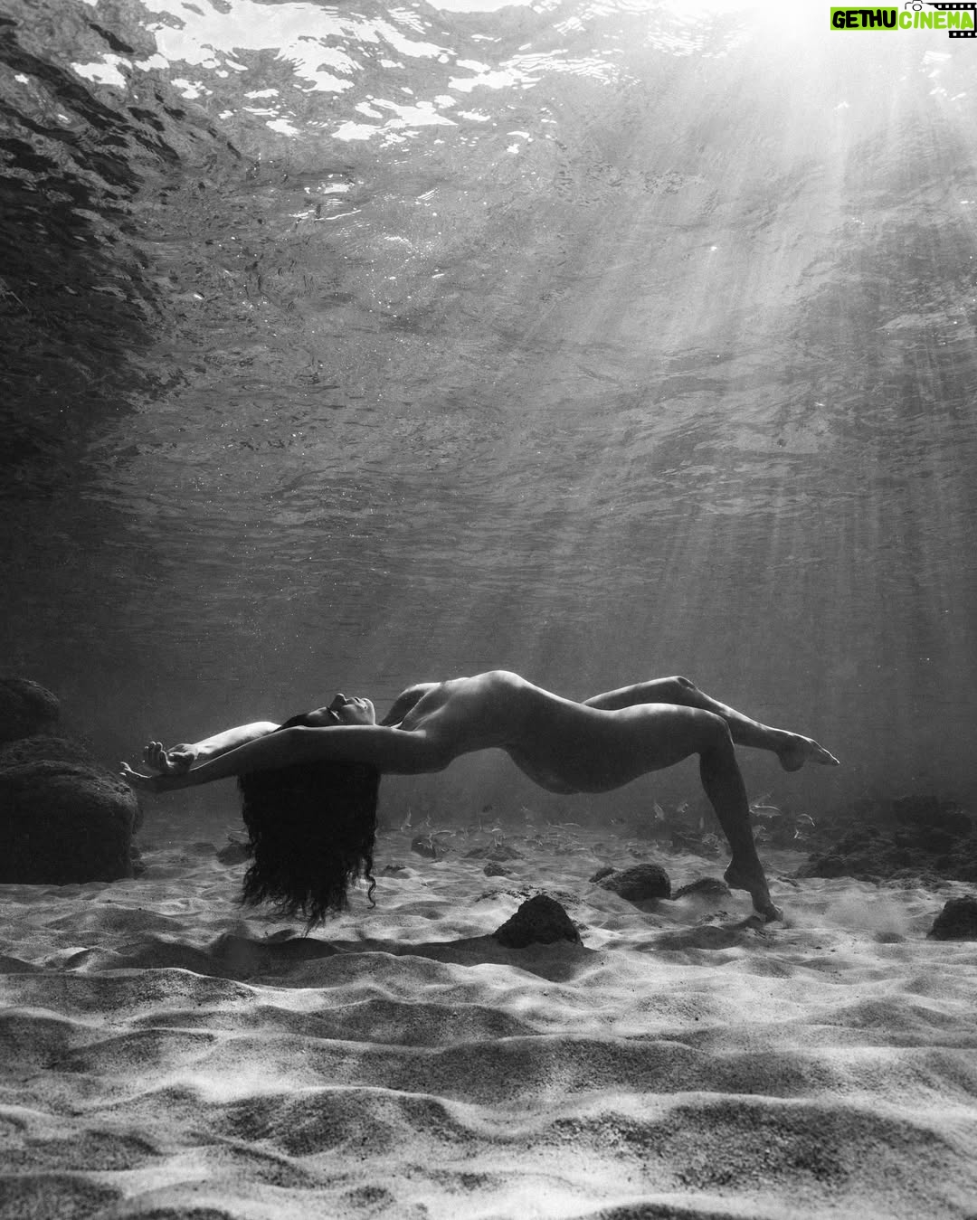 Ariadna Hafez Navarro - 8.1K Likes - Where gravity fades, my soul flies free 🤍🌊
.
.
Fotos tomadas una tarde en Hawaii, improvisando con @megbatphoto 📸💫