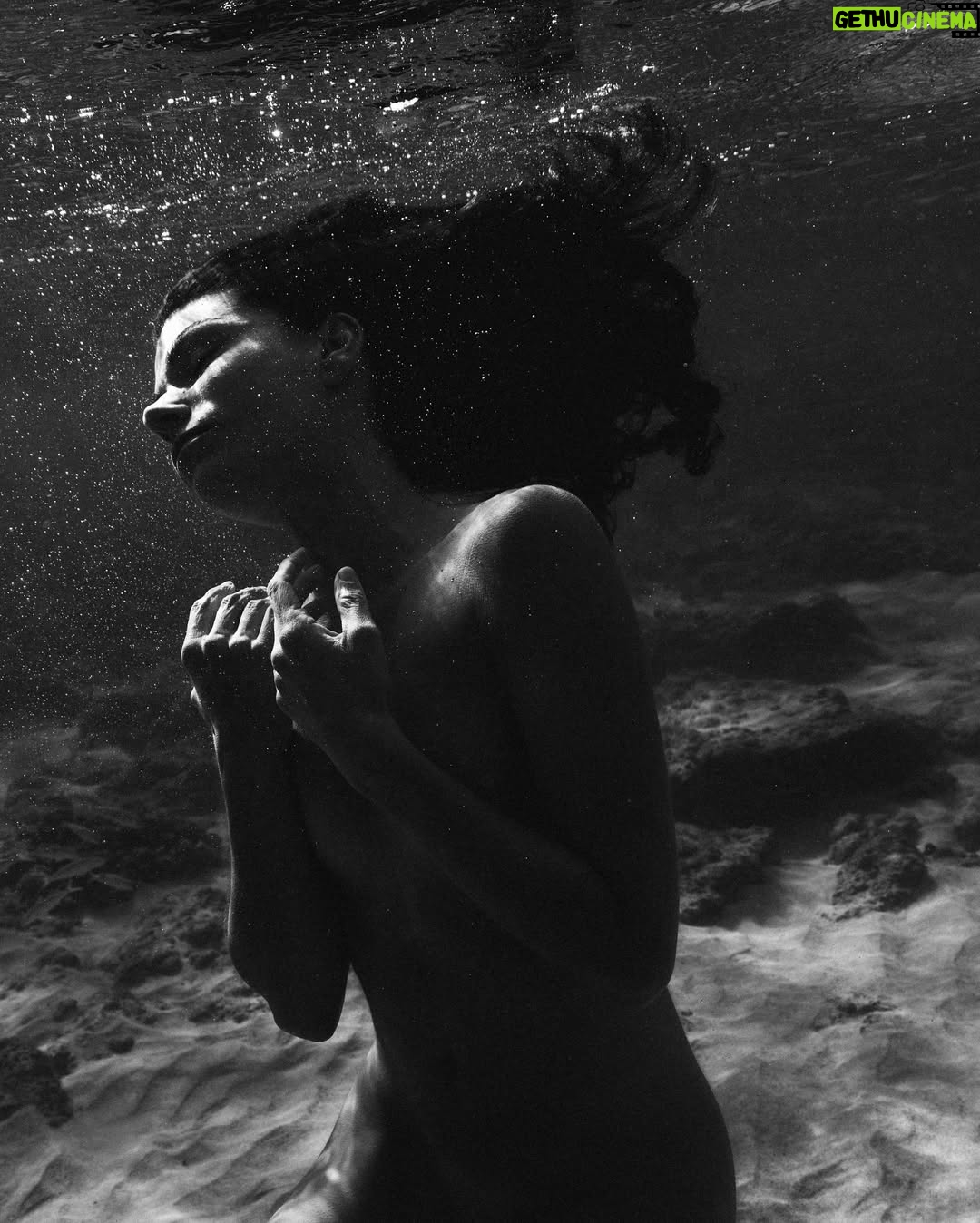 Ariadna Hafez Navarro - 8.1K Likes - Where gravity fades, my soul flies free 🤍🌊
.
.
Fotos tomadas una tarde en Hawaii, improvisando con @megbatphoto 📸💫