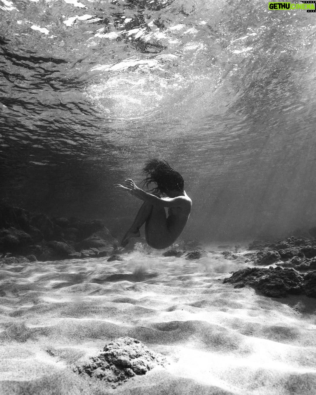 Ariadna Hafez Navarro - 8.1K Likes - Where gravity fades, my soul flies free 🤍🌊
.
.
Fotos tomadas una tarde en Hawaii, improvisando con @megbatphoto 📸💫