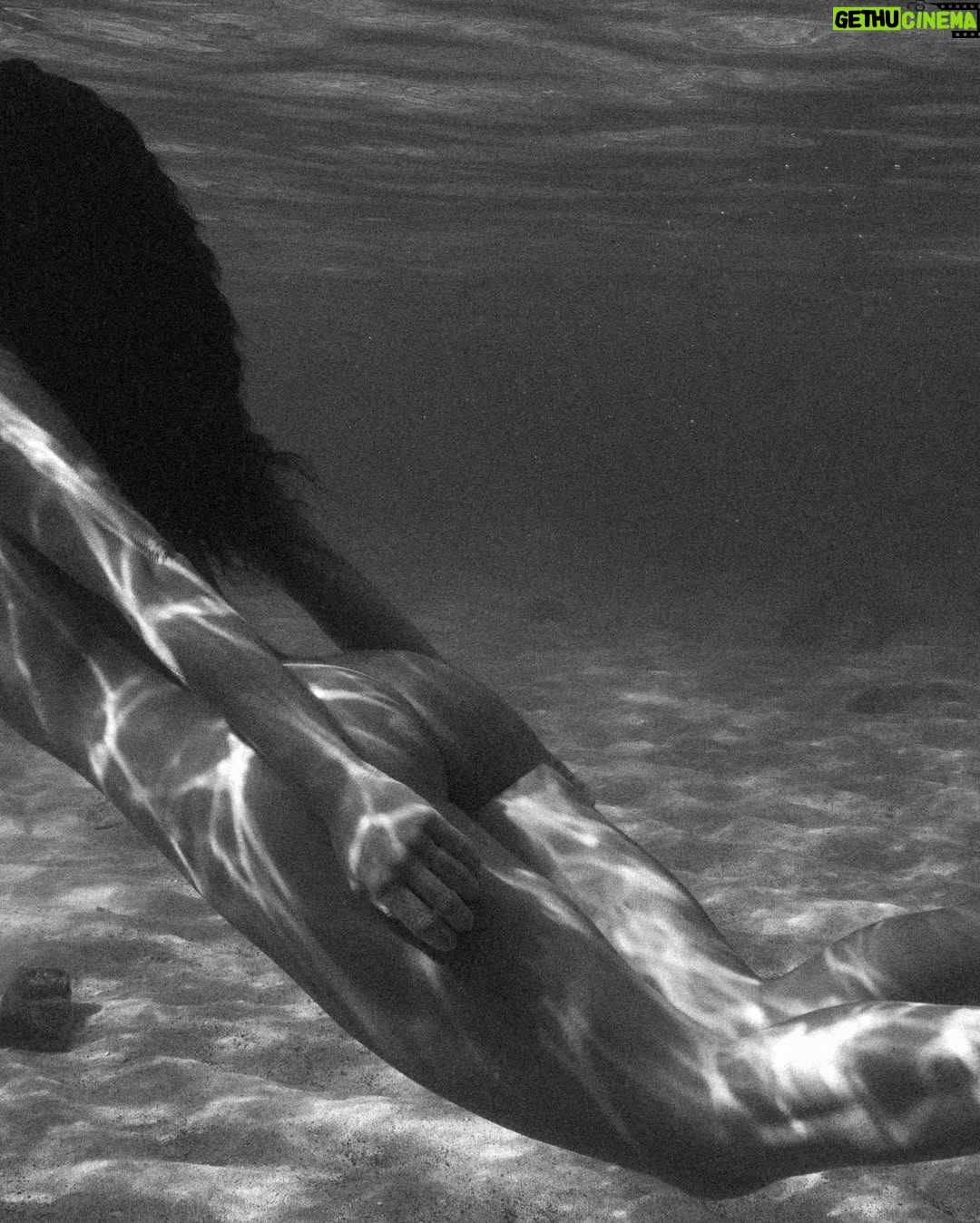 Ariadna Hafez Navarro - 8.1K Likes - Where gravity fades, my soul flies free 🤍🌊
.
.
Fotos tomadas una tarde en Hawaii, improvisando con @megbatphoto 📸💫