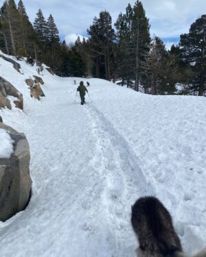 Aspen Ladd Instagram - A little photo dump from the last week 🙂