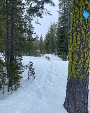 Aspen Ladd Instagram - A little photo dump from the last week 🙂