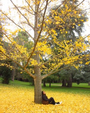 Aurora Ribero Instagram - From the favorites💛💛💛